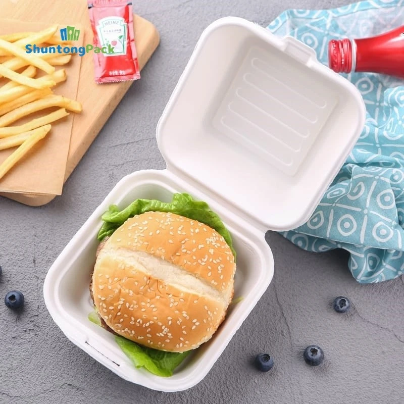 Sugarcane Bagasse burger Boxes made in China